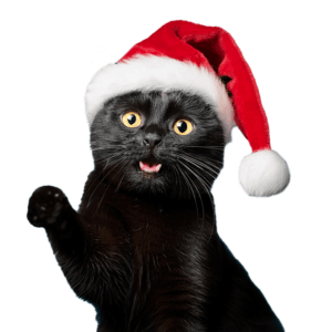 Кредит онлайн ≫ Гроші на картку за 10 хвилин ≫ Взяти позику через інтернет ≫ Prostocredit.com.ua