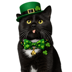 Кредит онлайн ≫ Гроші на картку за 10 хвилин ≫ Взяти позику через інтернет ≫ Prostocredit.com.ua